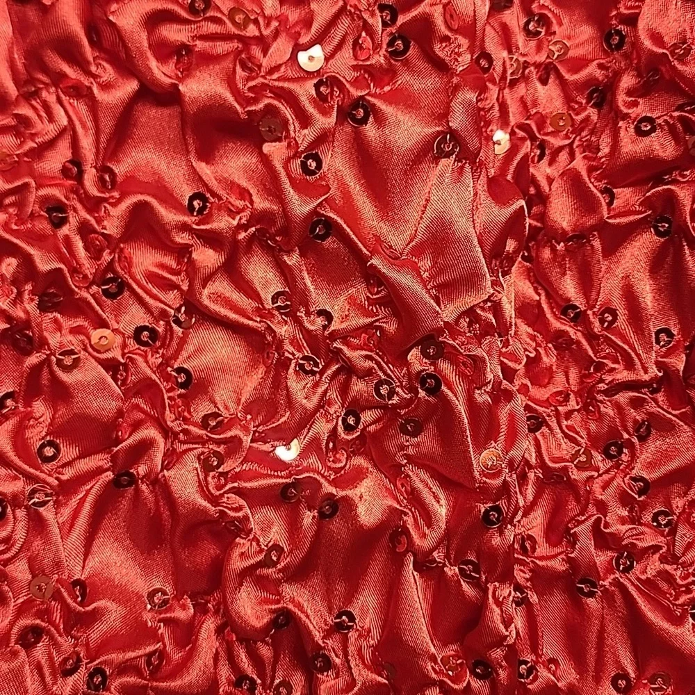Addressing Woman Sz XL Elegant Red Zippered Lightweight Jacket NWT - Picture 4 of 9
